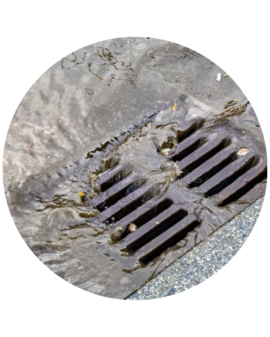 sewer drain